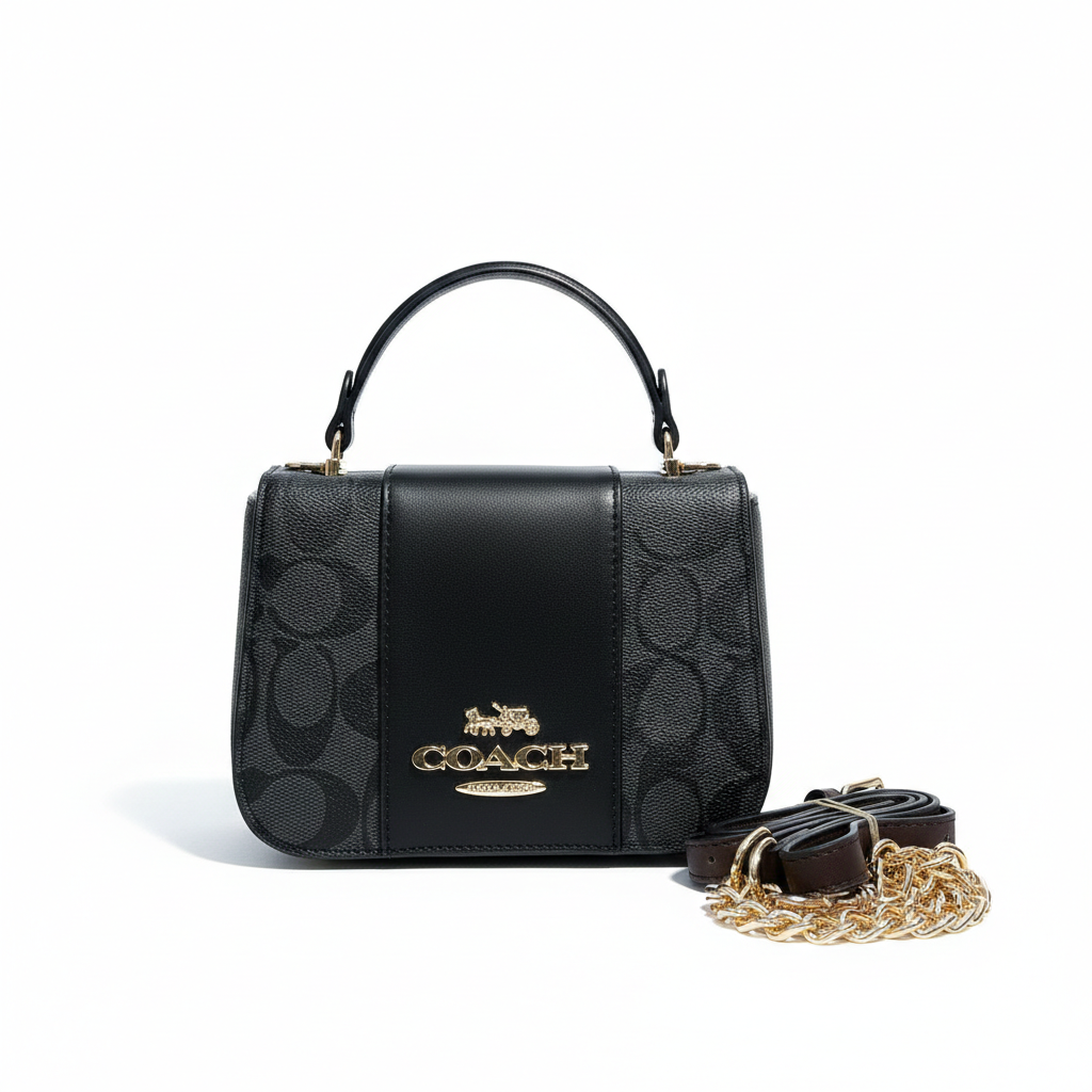 Coach Print Alpha Bag