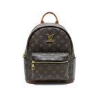 LV Backpack
