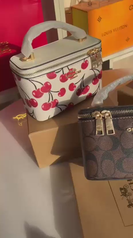 COACH Cosmetic Case